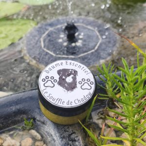 Baume Essentiel : Baume coussinets pour chien naturel | Soin protecteur et réparateur