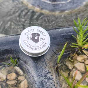 Baume Intense â Baume naturel rĂ©parateur pour chien | Soin ultra nourrissant pour zones fragilisĂ©es