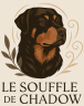 Le souffle de Chadow